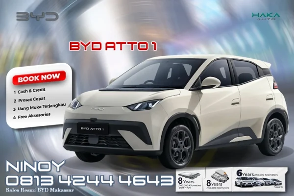 BYD ATTO 1
