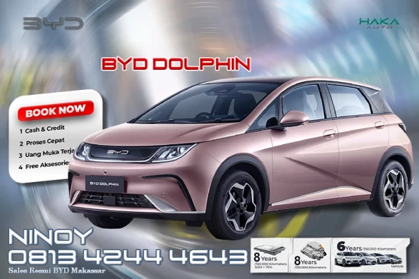 BYD DOLPHIN