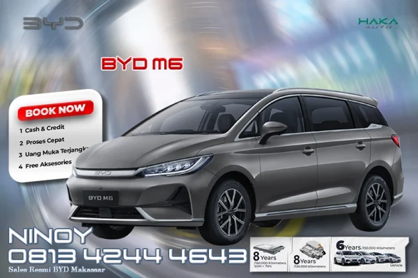 BYD M6