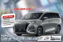 Denza D9
