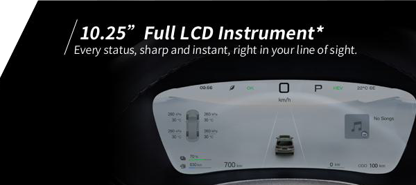 BYD M6 DM