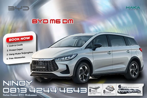 BYD M6 DM