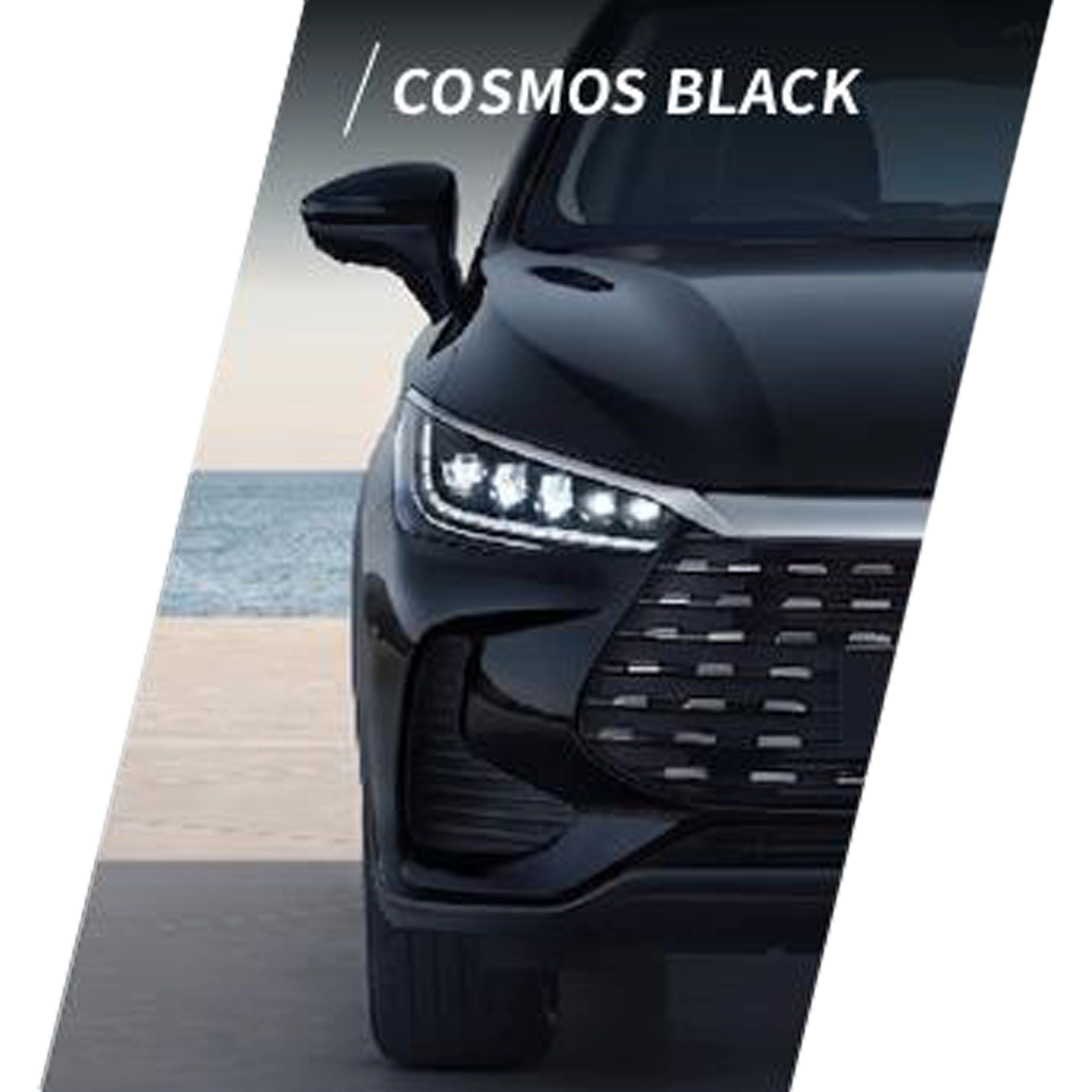 COSMOS BLACK